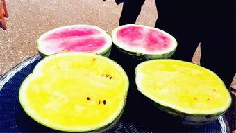 南充吃瓜爆料,揭秘当地热点事件背后的真相