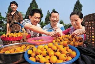 南充吃瓜爆料,揭秘当地热点事件背后的真相