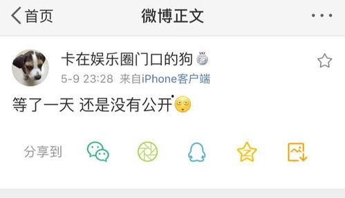 吃瓜爆料最新PPT,揭秘娱乐圈最新热点事件