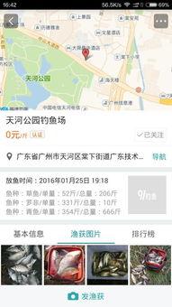 91钓鱼直播干嘛的