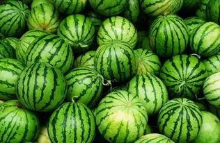 吃瓜群有哪些,网络社交的趣味与争议