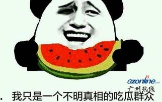 吃瓜群众意思解释,网络时代的旁观者与评论者